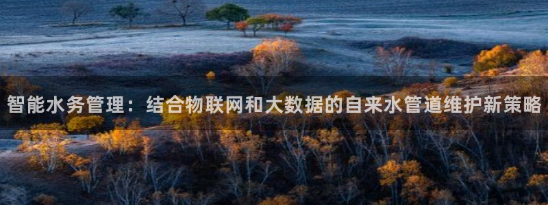 威九国际能提现吗现在