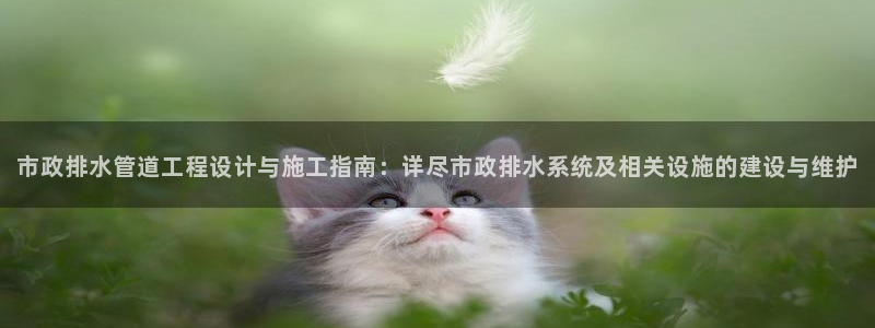 威九国际网站在哪里