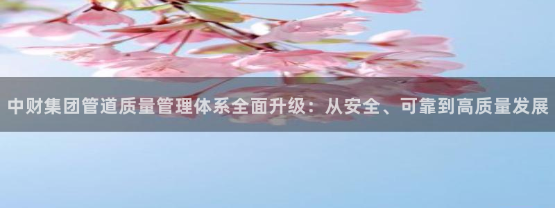 威九国际入口一