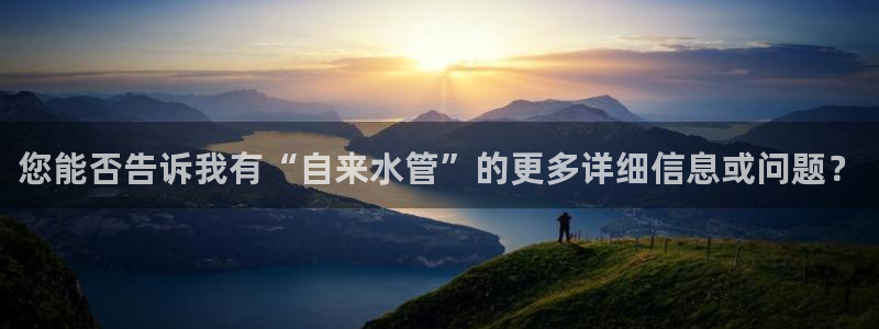 威九国际com