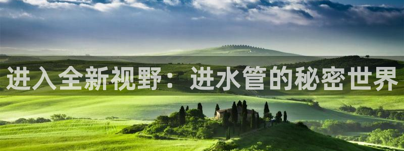 威九国际下载官网app