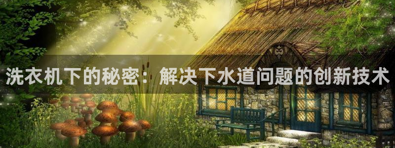 威九国际旗下艺人都有谁