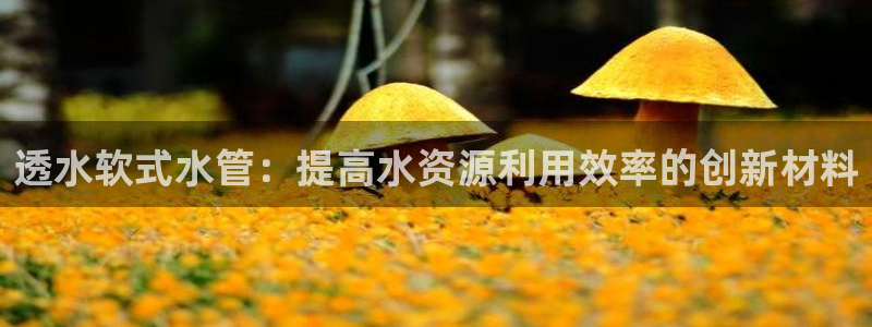 威九国际风情万种
