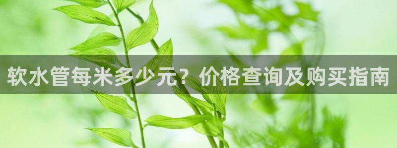 威九国际精彩推荐