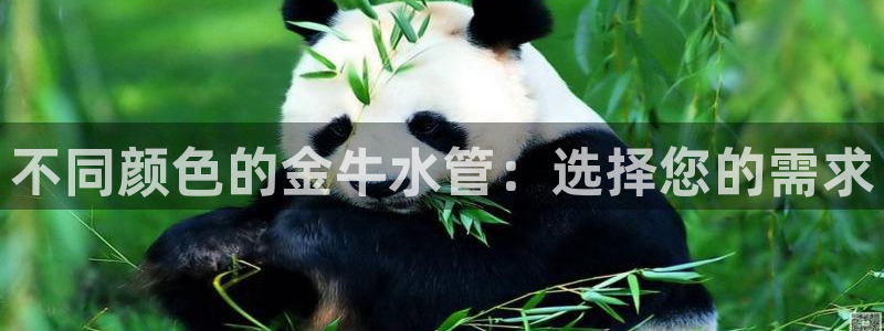 威九国际官网在线进入网站查询网址