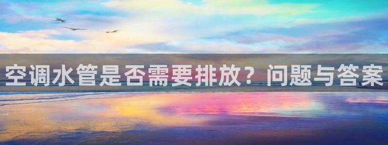 威九国际如何下载