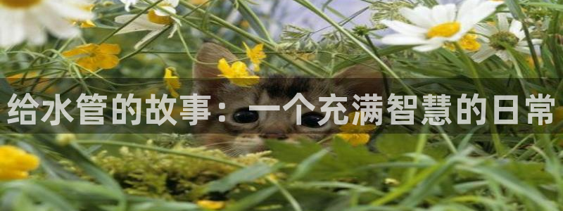 78mapp威九国际免费官方版下载