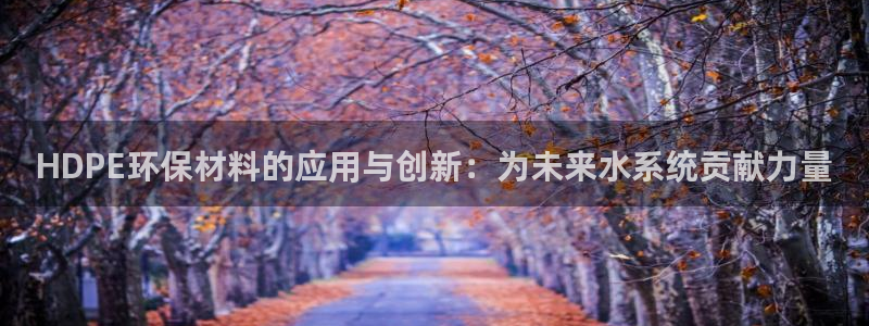 威九国际APP大全