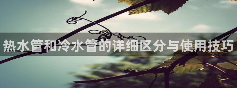 威九国际网站进入产品中心怎么进
