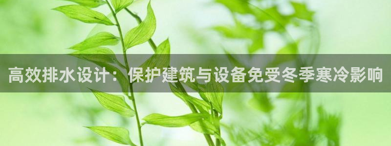 威九国际官方网站最新版本更新内容介绍