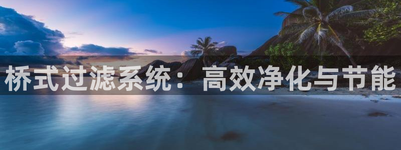 威九国际的演员