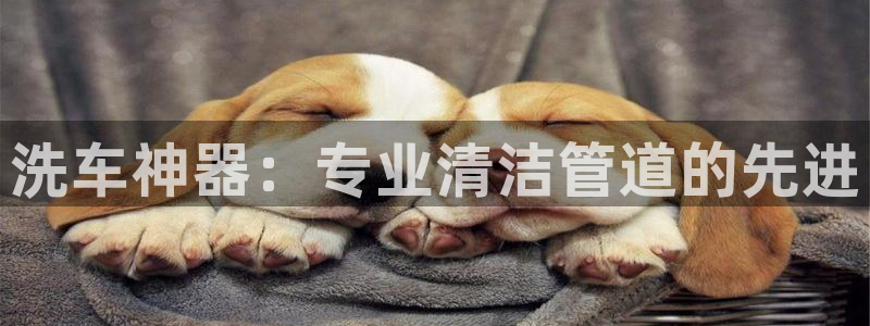 保定威九网络科技有限公司电话
