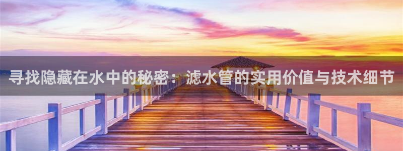威九国际如何下载