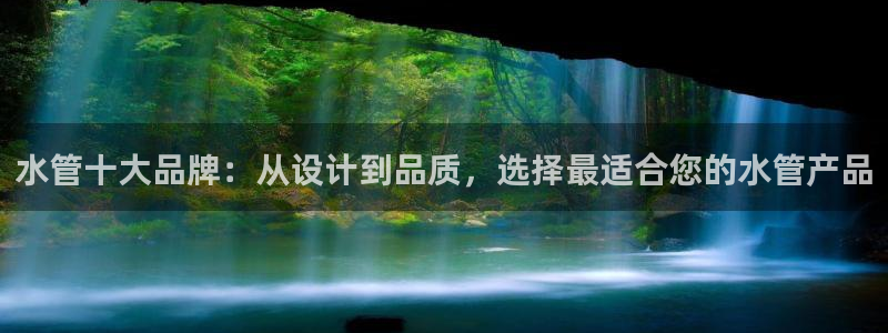 威九国际ppt免费下载网址