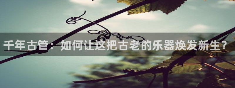 威九国际摩托电影HD