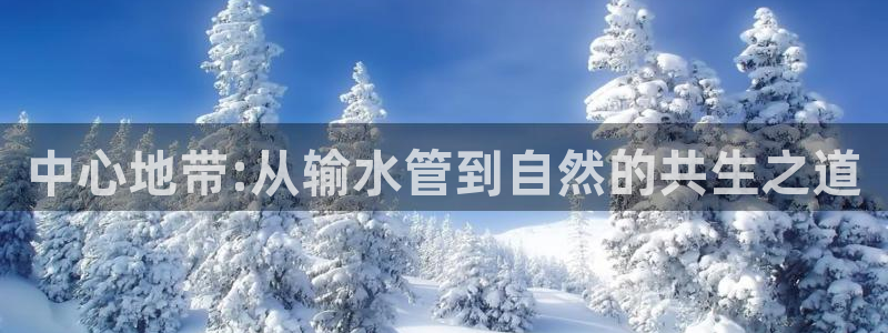 威九国际网站官网