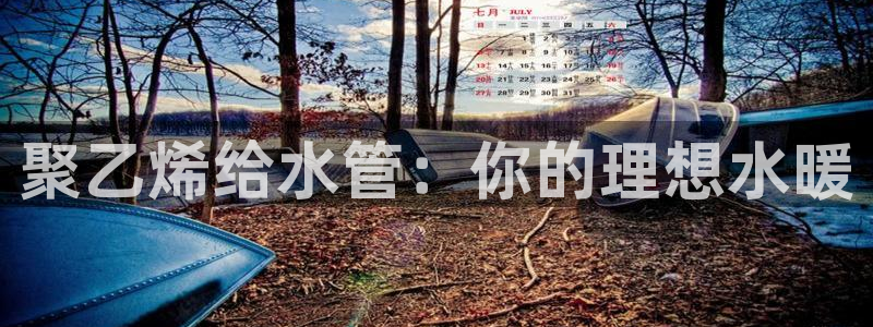威九国际精彩视频2022年