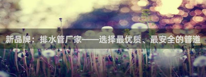 威九国际空降视频